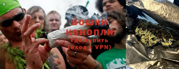 ГАЛЛЮЦИНОГЕННЫЕ ГРИБЫ Нея