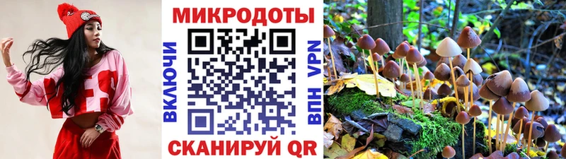 купить  цена  мега ссылки  Псилоцибиновые грибы ЛСД  Нурлат 